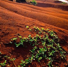 《使命召唤：现代战争3》多人游戏视频泄露