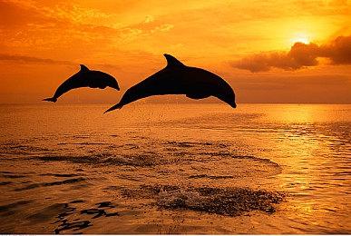 《彩虹六号：围攻》主机跨平台联机进度同步功能下月推出